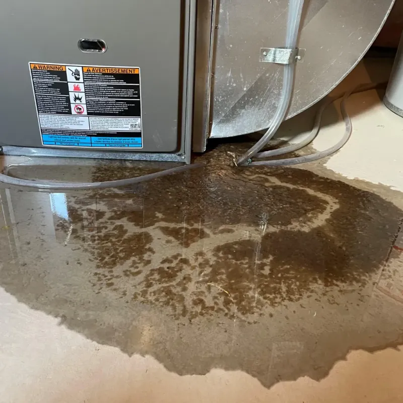 Appliance Leak Cleanup in Malakoff, TX